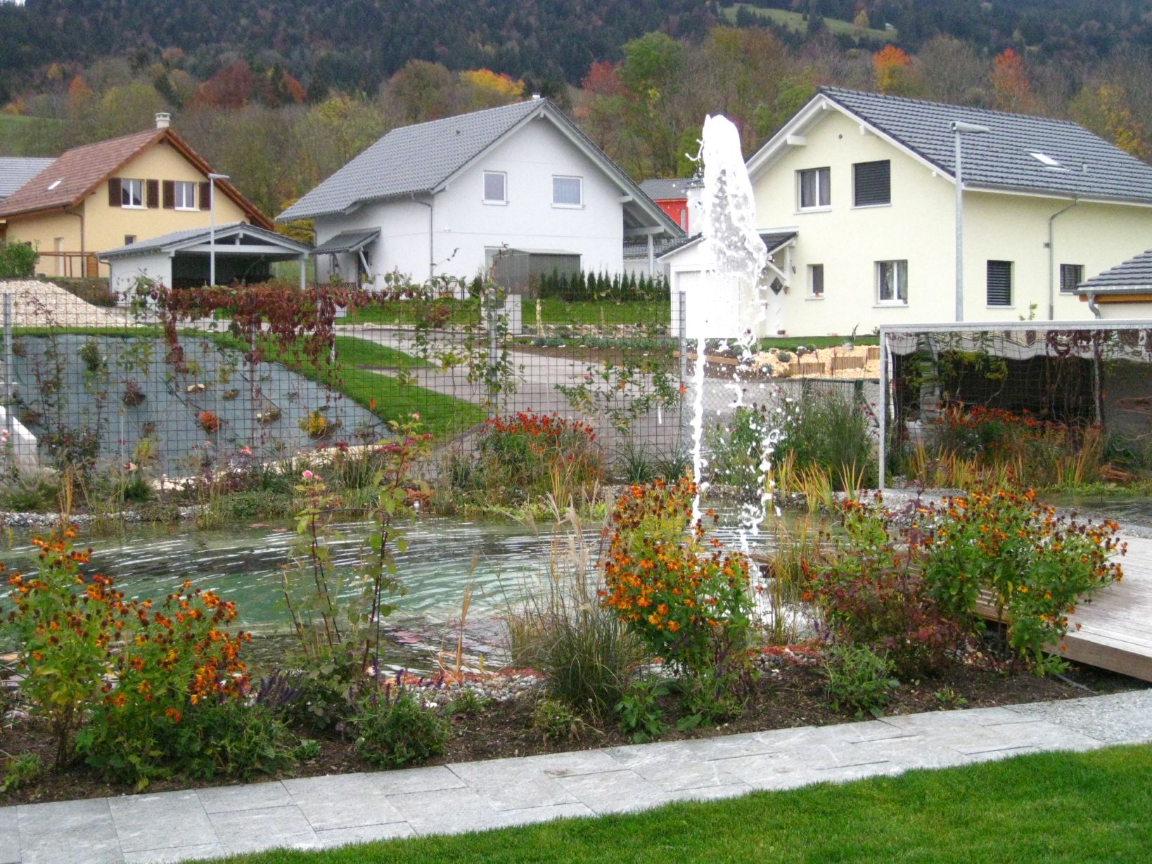 Biopiscine avec 